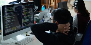 apa itu web developer